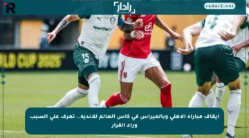 إيقاف مباراة الأهلي وبالميراس في كأس العالم للأندية.. تعرف على السبب وراء القرار